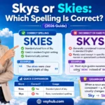 Skys or Skies