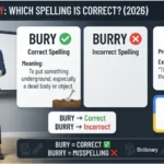Burry or bury